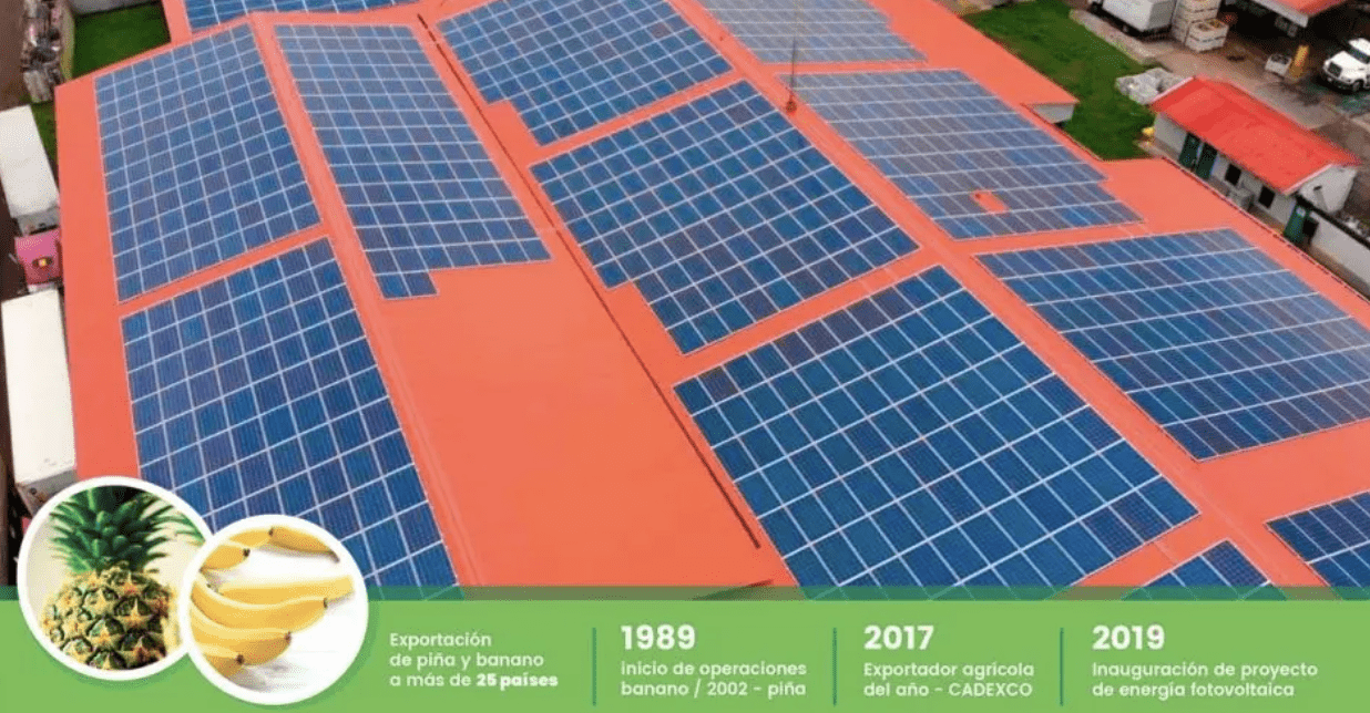 Grupo Acon solar panels
